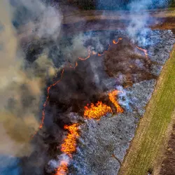 March 2020 (Shaker Village of Plesant Hill)